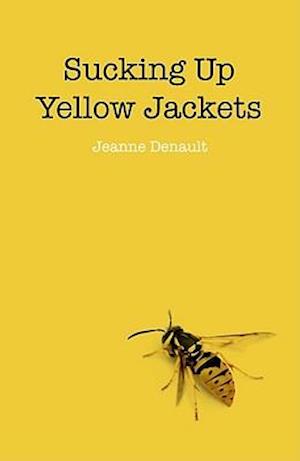 Sucking Up Yellow Jackets – Raising an undiagnosed Asperger Syndrome son obsessed with explosives