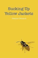 Sucking Up Yellow Jackets – Raising an undiagnosed Asperger Syndrome son obsessed with explosives