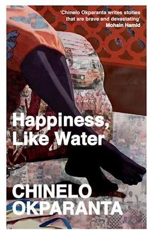 Happiness, Like Water : Stories