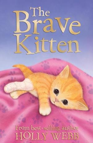 Brave Kitten