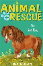 The Sad Pony