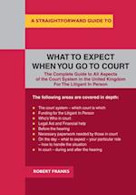 Straightforward Guide to What to Expect When You Go to Court
