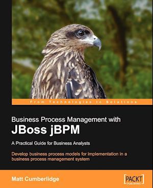 Business Process Management with Jboss Jbpm
