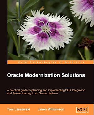 Oracle Modernization Solutions
