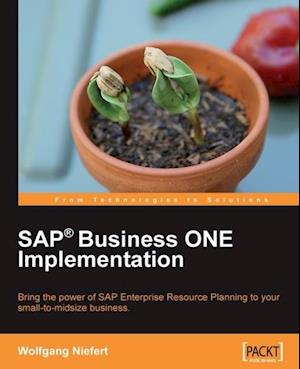 SAP Business ONE Implementation