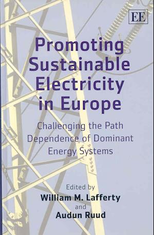 Promoting Sustainable Electricity in Europe