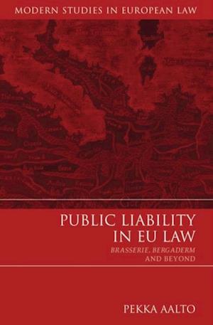 Public Liability in EU Law