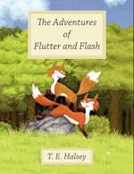 The Adventures of Flutter and Flash