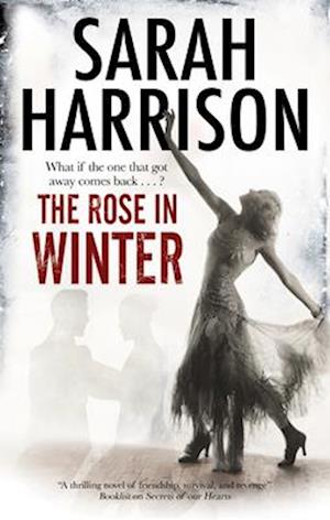 The Rose in Winter