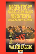 Negentropy Meaning and New Meaning Negentropia Accezione, Nuove Accezioni