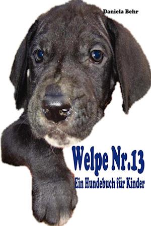 Welpe Nr. 13 - ein Hundebuch für Kinder