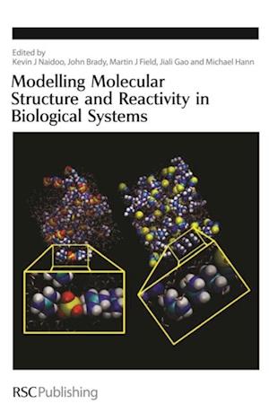 Modelling Molecular Structure and Reactivity in Biological Systems