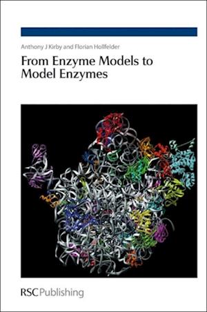 From Enzyme Models to Model Enzymes