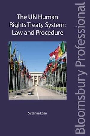 The UN Human Rights Treaty System