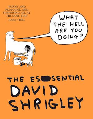 What The Hell Are You Doing?: The Essential David Shrigley