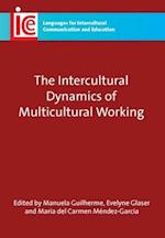 Intercultural Dynamics of Multicultural Working