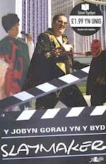 Cyfres Stori Sydyn: Y Jobyn Gorau yn y Byd