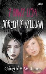 Cyfres y Dderwen: Y Ddwy Lisa - Sgrech y Dylluan