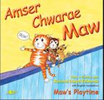 Amser Chwarae Maw