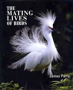 The Mating Lives Of Birds