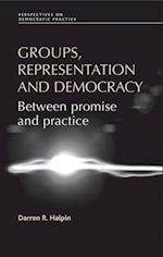 Groups, representation and democracy