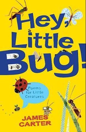Hey Little Bug