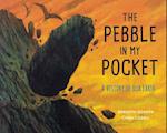 The Pebble in My Pocket