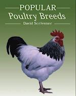 Popular Poultry Breeds