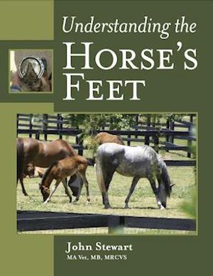 Understanding the Horse's Feet