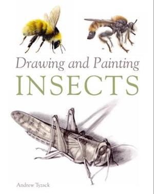 Drawing and Painting Insects