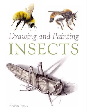 Drawing and Painting Insects