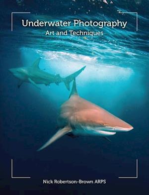 Underwater Photography