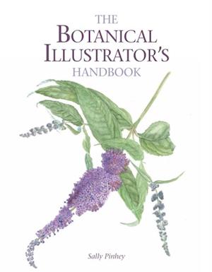 Botanical Illustrator's Handbook