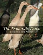 Domestic Duck