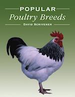 Popular Poultry Breeds