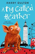 A Pig Called Heather