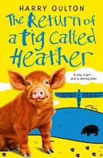 Return of a Pig Called Heather