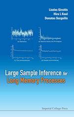 Large Sample Inference For Long Memory Processes