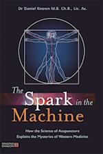 The Spark in the Machine