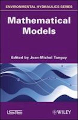 Environmental Hydraulics – Mathematical Models V 2