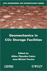 Geomechanical Issues in CO2 Storage Facilities