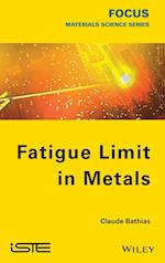 Fatigue Limit in Metals