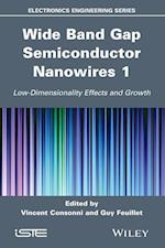 Wide Band Gap Semiconductor Nanowires 1