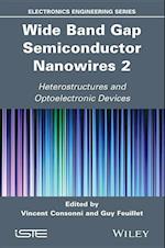 Wide Band Gap Semiconductor Nanowires 2