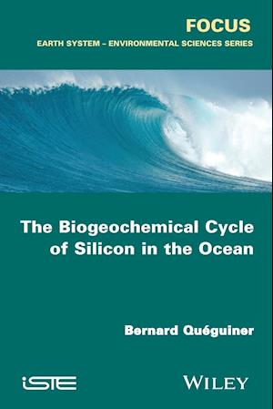 The Biogeochemical Cycle of Silicon in the Ocean