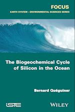 The Biogeochemical Cycle of Silicon in the Ocean