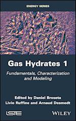 Gas Hydrates 1: Fundamentals, Characterization and  Modeling