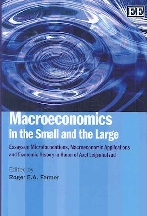 Macroeconomics in the Small and the Large