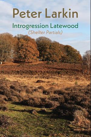 Introgression Latewood