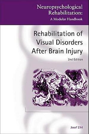 Rehabilitation of Visual Disorders After Brain Injury